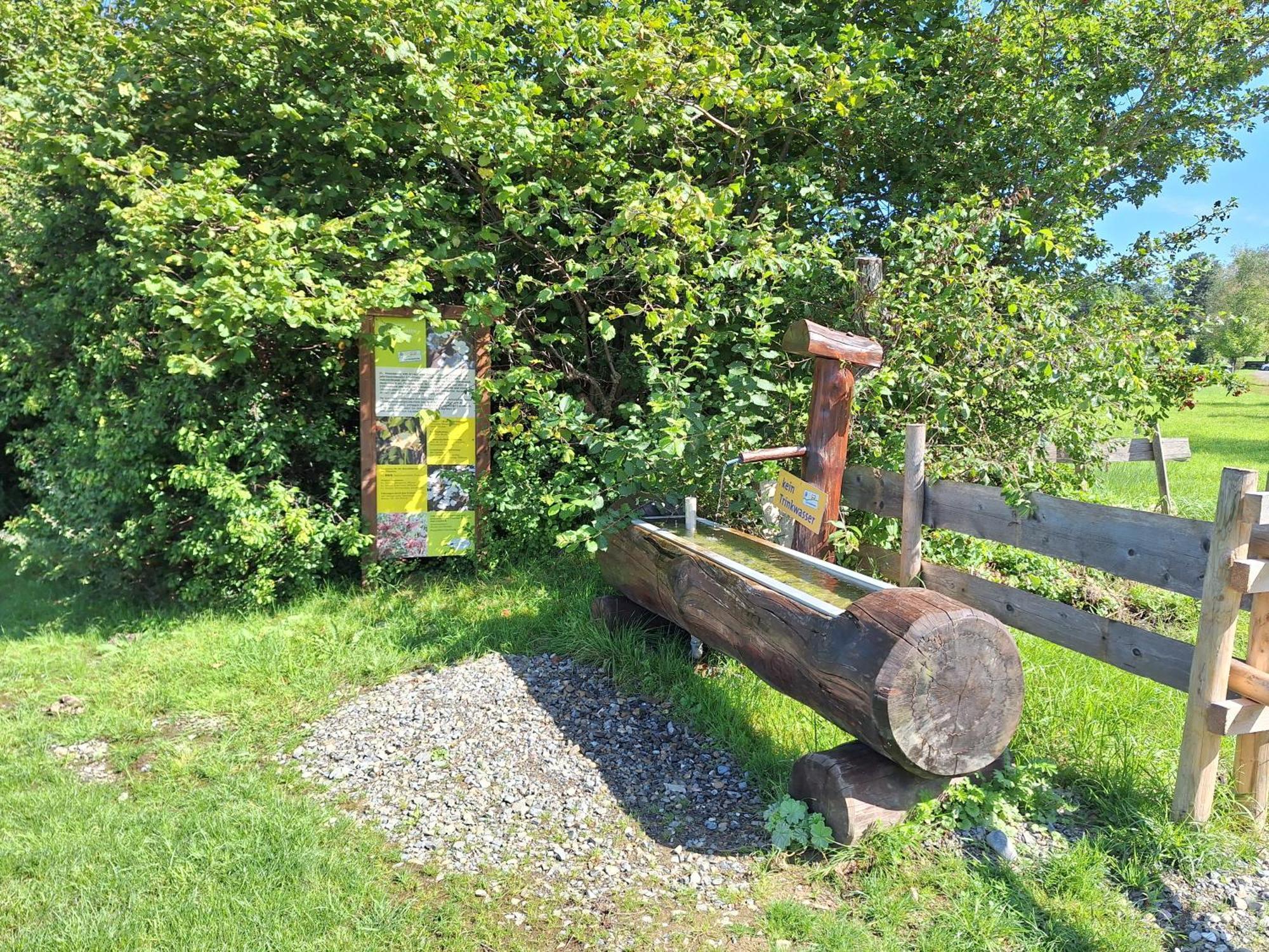 Fewo Allgaeuerle1605 Mit Hallenbad, Sauna, Tiefgarage Und Wlan Missen-Wilhams Exterior photo